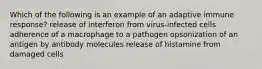 Which of the following is an example of an adaptive immune response? release of interferon from virus-infected cells adherence of a macrophage to a pathogen opsonization of an antigen by antibody molecules release of histamine from damaged cells