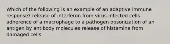 Which of the following is an example of an adaptive immune response? release of interferon from virus-infected cells adherence of a macrophage to a pathogen opsonization of an antigen by antibody molecules release of histamine from damaged cells