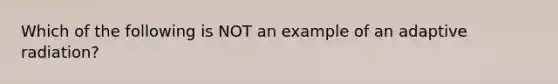 Which of the following is NOT an example of an adaptive radiation?