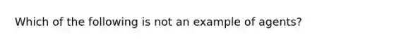 Which of the following is not an example of agents?