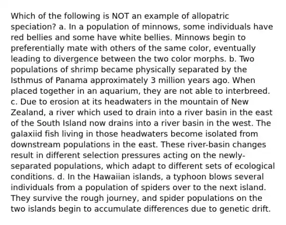 Which of the following is NOT an example of allopatric speciation? a. In a population of minnows, some individuals have red bellies and some have white bellies. Minnows begin to preferentially mate with others of the same color, eventually leading to divergence between the two color morphs. b. Two populations of shrimp became physically separated by the Isthmus of Panama approximately 3 million years ago. When placed together in an aquarium, they are not able to interbreed. c. Due to erosion at its headwaters in the mountain of New Zealand, a river which used to drain into a river basin in the east of the South Island now drains into a river basin in the west. The galaxiid fish living in those headwaters become isolated from downstream populations in the east. These river-basin changes result in different selection pressures acting on the newly-separated populations, which adapt to different sets of ecological conditions. d. In the Hawaiian islands, a typhoon blows several individuals from a population of spiders over to the next island. They survive the rough journey, and spider populations on the two islands begin to accumulate differences due to genetic drift.