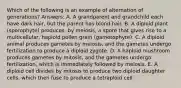 Which of the following is an example of alternation of generations? Answers: A. A grandparent and grandchild each have dark hair, but the parent has blond hair. B. A diploid plant (sporophyte) produces, by meiosis, a spore that gives rise to a multicellular, haploid pollen grain (gametophyte). C. A diploid animal produces gametes by meiosis, and the gametes undergo fertilization to produce a diploid zygote. D. A haploid mushroom produces gametes by mitosis, and the gametes undergo fertilization, which is immediately followed by meiosis. E. A diploid cell divides by mitosis to produce two diploid daughter cells, which then fuse to produce a tetraploid cell.