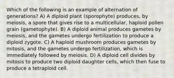 Which of the following is an example of alternation of generations? A) A diploid plant (sporophyte) produces, by meiosis, a spore that gives rise to a multicellular, haploid pollen grain (gametophyte). B) A diploid animal produces gametes by meiosis, and the gametes undergo fertilization to produce a diploid zygote. C) A haploid mushroom produces gametes by mitosis, and the gametes undergo fertilization, which is immediately followed by meiosis. D) A diploid cell divides by mitosis to produce two diploid daughter cells, which then fuse to produce a tetraploid cell.