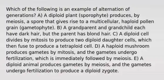 Which of the following is an example of alternation of generations? A) A diploid plant (sporophyte) produces, by meiosis, a spore that gives rise to a multicellular, haploid pollen grain (gametophyte). B) A grandparent and grandchild each have dark hair, but the parent has blond hair. C) A diploid cell divides by mitosis to produce two diploid daughter cells, which then fuse to produce a tetraploid cell. D) A haploid mushroom produces gametes by mitosis, and the gametes undergo fertilization, which is immediately followed by meiosis. E) A diploid animal produces gametes by meiosis, and the gametes undergo fertilization to produce a diploid zygote.