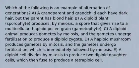 Which of the following is an example of alternation of generations? A) A grandparent and grandchild each have dark hair, but the parent has blond hair. B) A diploid plant (sporophyte) produces, by meiosis, a spore that gives rise to a multicellular, haploid pollen grain (gametophyte). C) A diploid animal produces gametes by meiosis, and the gametes undergo fertilization to produce a diploid zygote. D) A haploid mushroom produces gametes by mitosis, and the gametes undergo fertilization, which is immediately followed by meiosis. E) A diploid cell divides by mitosis to produce two diploid daughter cells, which then fuse to produce a tetraploid cell.