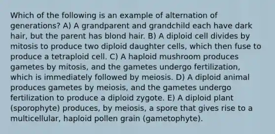 Which of the following is an example of alternation of generations? A) A grandparent and grandchild each have dark hair, but the parent has blond hair. B) A diploid cell divides by mitosis to produce two diploid daughter cells, which then fuse to produce a tetraploid cell. C) A haploid mushroom produces gametes by mitosis, and the gametes undergo fertilization, which is immediately followed by meiosis. D) A diploid animal produces gametes by meiosis, and the gametes undergo fertilization to produce a diploid zygote. E) A diploid plant (sporophyte) produces, by meiosis, a spore that gives rise to a multicellular, haploid pollen grain (gametophyte).