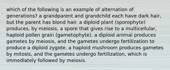 which of the following is an example of alternation of generations? a grandparent and grandchild each have dark hair, but the parent has blond hair. a diploid plant (sporophyte) produces, by meiosis, a spore that gives rise to a multicellular, haploid pollen grain (gametophyte). a diploid animal produces gametes by meiosis, and the gametes undergo fertilization to produce a diploid zygote. a haploid mushroom produces gametes by mitosis, and the gametes undergo fertilization, which is immediately followed by meiosis.