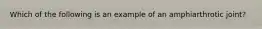 Which of the following is an example of an amphiarthrotic joint?