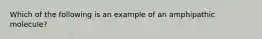 Which of the following is an example of an amphipathic molecule?