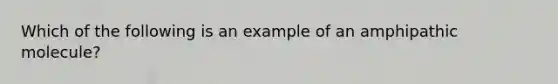 Which of the following is an example of an amphipathic molecule?