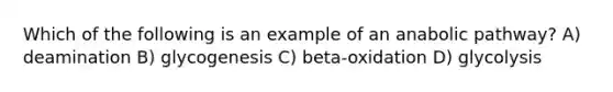 Which of the following is an example of an anabolic pathway? A) deamination B) glycogenesis C) beta-oxidation D) glycolysis