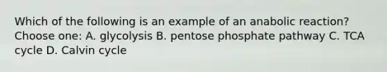 Which of the following is an example of an anabolic reaction? Choose one: A. glycolysis B. pentose phosphate pathway C. TCA cycle D. Calvin cycle