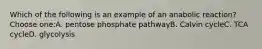 Which of the following is an example of an anabolic reaction?Choose one:A. pentose phosphate pathwayB. Calvin cycleC. TCA cycleD. glycolysis