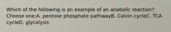 Which of the following is an example of an anabolic reaction?Choose one:A. pentose phosphate pathwayB. Calvin cycleC. TCA cycleD. glycolysis