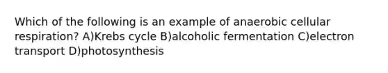 Which of the following is an example of anaerobic <a href='https://www.questionai.com/knowledge/k1IqNYBAJw-cellular-respiration' class='anchor-knowledge'>cellular respiration</a>? A)<a href='https://www.questionai.com/knowledge/kqfW58SNl2-krebs-cycle' class='anchor-knowledge'>krebs cycle</a> B)alcoholic fermentation C)electron transport D)photosynthesis