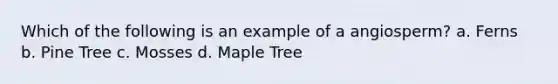 Which of the following is an example of a angiosperm? a. Ferns b. Pine Tree c. Mosses d. Maple Tree