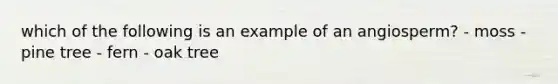 which of the following is an example of an angiosperm? - moss - pine tree - fern - oak tree