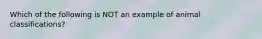 Which of the following is NOT an example of animal classifications?