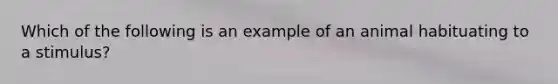 Which of the following is an example of an animal habituating to a stimulus?