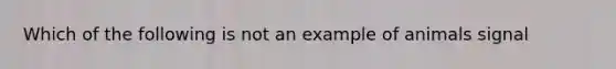 Which of the following is not an example of animals signal