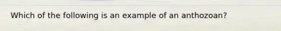 Which of the following is an example of an anthozoan?
