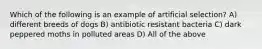 Which of the following is an example of artificial selection? A) different breeds of dogs B) antibiotic resistant bacteria C) dark peppered moths in polluted areas D) All of the above