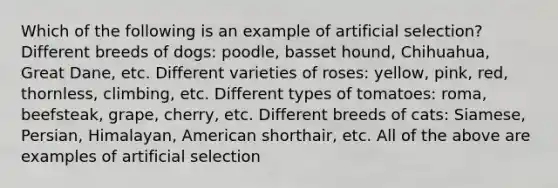 Which of the following is an example of artificial selection? Different breeds of dogs: poodle, basset hound, Chihuahua, Great Dane, etc. Different varieties of roses: yellow, pink, red, thornless, climbing, etc. Different types of tomatoes: roma, beefsteak, grape, cherry, etc. Different breeds of cats: Siamese, Persian, Himalayan, American shorthair, etc. All of the above are examples of artificial selection