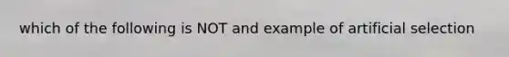 which of the following is NOT and example of artificial selection