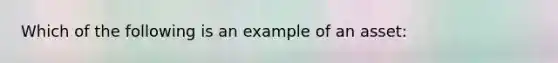 Which of the following is an example of an asset: