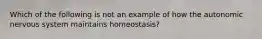 Which of the following is not an example of how the autonomic nervous system maintains homeostasis?