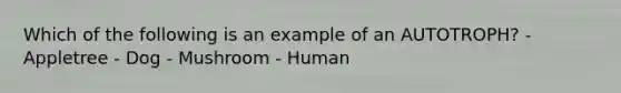 Which of the following is an example of an AUTOTROPH? - Appletree - Dog - Mushroom - Human