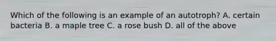 Which of the following is an example of an autotroph? A. certain bacteria B. a maple tree C. a rose bush D. all of the above