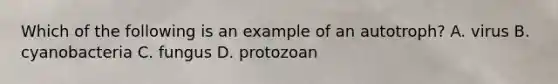 Which of the following is an example of an autotroph? A. virus B. cyanobacteria C. fungus D. protozoan