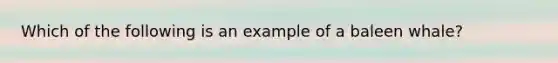 Which of the following is an example of a baleen whale?
