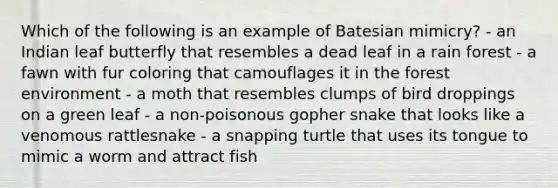 Which of the following is an example of Batesian mimicry? - an Indian leaf butterfly that resembles a dead leaf in a rain forest - a fawn with fur coloring that camouflages it in the forest environment - a moth that resembles clumps of bird droppings on a green leaf - a non-poisonous gopher snake that looks like a venomous rattlesnake - a snapping turtle that uses its tongue to mimic a worm and attract fish