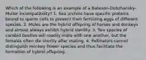 Which of the following is an example of a Bateson-Dobzhansky-Muller incompatibility? 1. Sea urchins have specific proteins bound to sperm cells to prevent their fertilizing eggs of different species. 2. Mules are the hybrid offspring of horses and donkeys and almost always exhibit hybrid sterility. 3. Two species of carabid beetles will readily mate with one another, but the females often die shortly after mating. 4. Pollinators cannot distinguish monkey flower species and thus facilitate the formation of hybrid offspring.