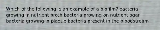 Which of the following is an example of a biofilm? bacteria growing in nutrient broth bacteria growing on nutrient agar bacteria growing in plaque bacteria present in the bloodstream