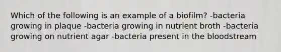 Which of the following is an example of a biofilm? -bacteria growing in plaque -bacteria growing in nutrient broth -bacteria growing on nutrient agar -bacteria present in the bloodstream