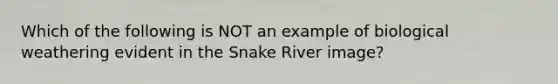 Which of the following is NOT an example of biological weathering evident in the Snake River image?