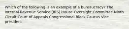 Which of the following is an example of a bureaucracy? The Internal Revenue Service (IRS) House Oversight Committee Ninth Circuit Court of Appeals Congressional Black Caucus Vice president