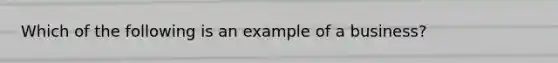 Which of the following is an example of a business?