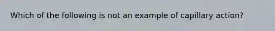 Which of the following is not an example of capillary action?