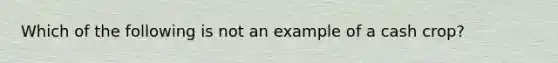 Which of the following is not an example of a cash crop?