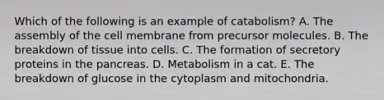 Which of the following is an example of catabolism? A. The assembly of the cell membrane from precursor molecules. B. The breakdown of tissue into cells. C. The formation of secretory proteins in <a href='https://www.questionai.com/knowledge/kITHRba4Cd-the-pancreas' class='anchor-knowledge'>the pancreas</a>. D. Metabolism in a cat. E. The breakdown of glucose in the cytoplasm and mitochondria.