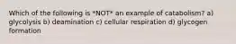 Which of the following is *NOT* an example of catabolism? a) glycolysis b) deamination c) cellular respiration d) glycogen formation