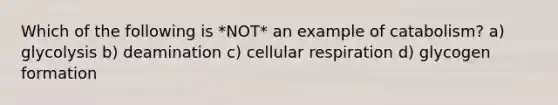 Which of the following is *NOT* an example of catabolism? a) glycolysis b) deamination c) cellular respiration d) glycogen formation