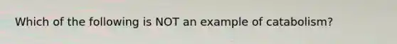 Which of the following is NOT an example of catabolism?