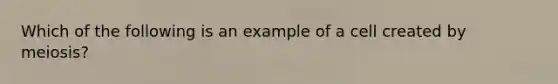 Which of the following is an example of a cell created by meiosis?