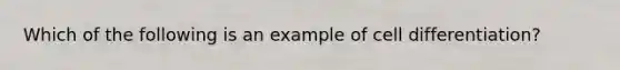 Which of the following is an example of cell differentiation?