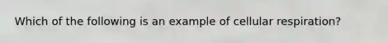 Which of the following is an example of cellular respiration?